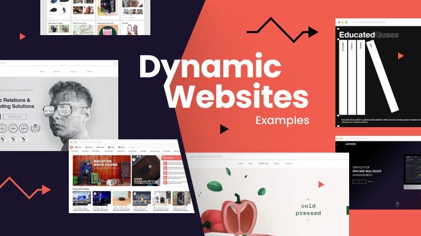 Dynamic Website Development 